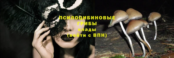 альфа пвп Пролетарск