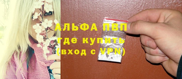 PSILOCYBIN Баксан