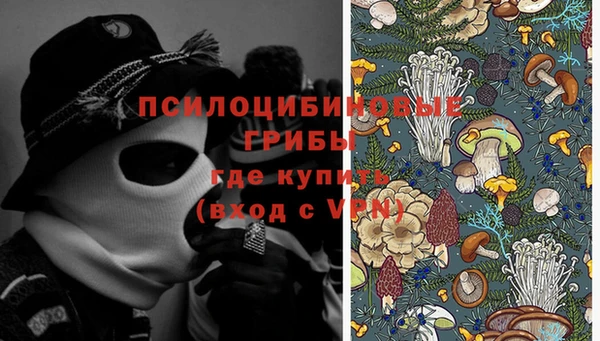 PSILOCYBIN Баксан